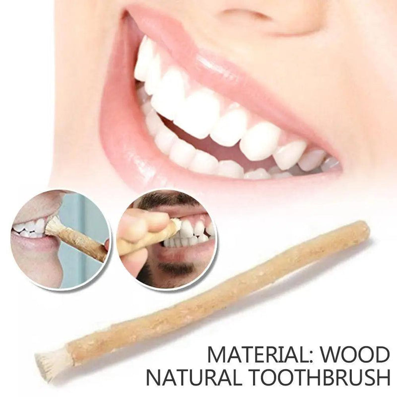 Miswak siwak escova de dentes natural tradicional branqueador