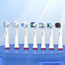 Cabeça Escova Elétrica Universal, Substituição Brau