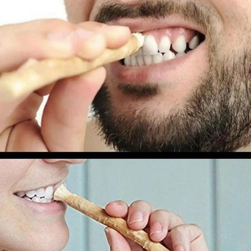 Miswak siwak escova de dentes natural tradicional branqueador