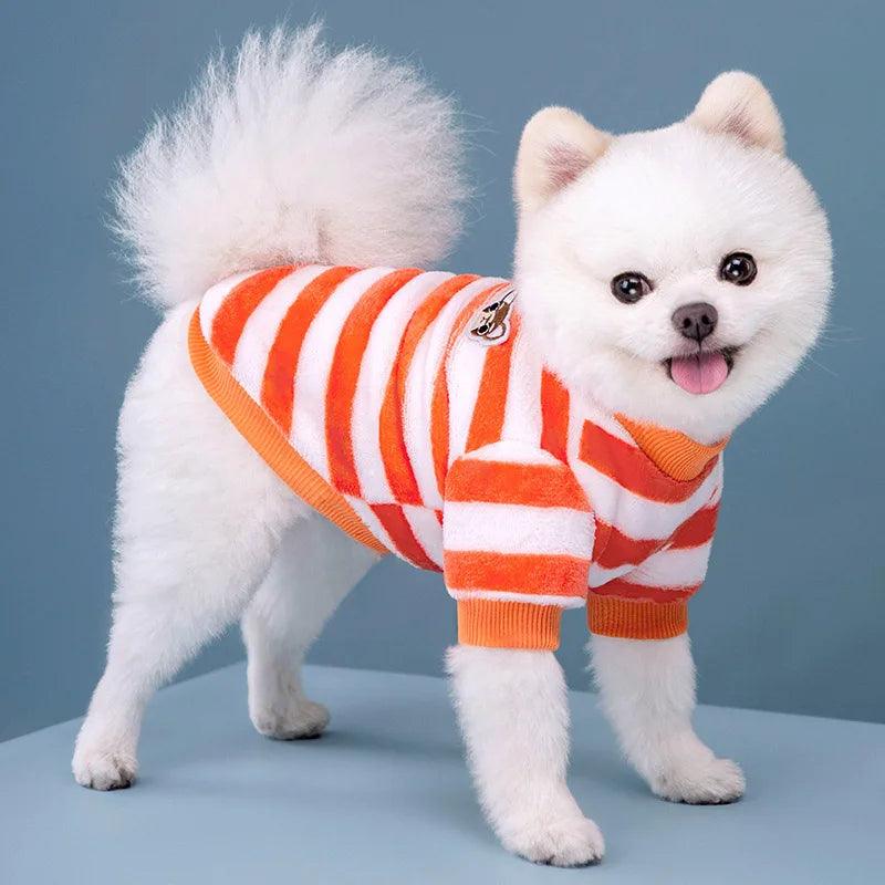 Roupas para pets de inverno com moletom