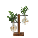 Vasos de Bulbos de Vidro