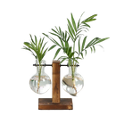 Vasos de Bulbos de Vidro