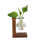 Vasos de Bulbos de Vidro